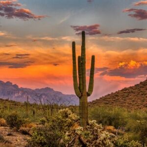 RESERVED - TRADE for valleyofthesun_🩵🤎🩶